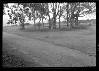 Circle of Trees Near Pounds Entrance