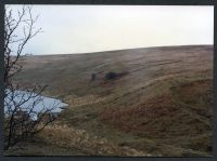 14/21 Settlement under Eastern Wittaburrow from Hickaton Hill 25/4/1991