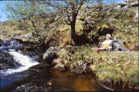 Waterfall, east Okement