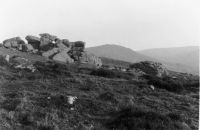 An image from the Dartmoor Trust Archive