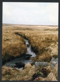 An image from the Dartmoor Trust Archive