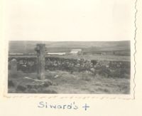 Siward's Cross