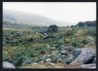 An image from the Dartmoor Trust Archive