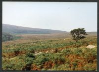 31/52 Bala Brook Settlement 4/9/1991