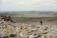 An image from the Dartmoor Trust Archive