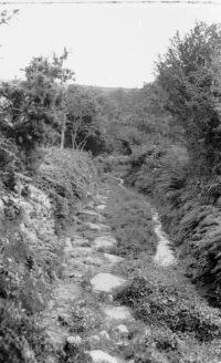 An image from the Dartmoor Trust Archive