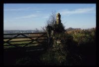 Oxenham Cross