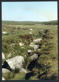 An image from the Dartmoor Trust Archive