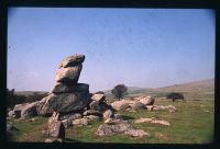 An image from the Dartmoor Trust Archive