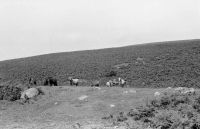 An image from the Dartmoor Trust Archive