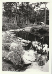 An image from the Dartmoor Trust Archive