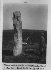 Drizzlecombe menhir and stone row