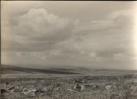 Dartmoor  landscape 