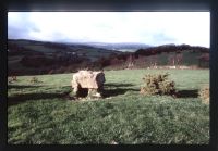 Meacombe Dolmen