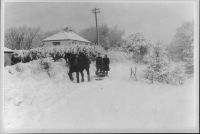 Milk deliveries by horse and sledge from Manaton Dairy at Latchel to Ridge Road