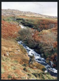 An image from the Dartmoor Trust Archive