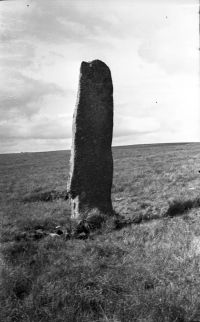 Beardon Man, near Devil’s Tor