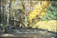 Bridge at Spitchwick