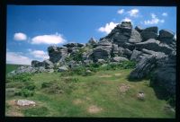 An image from the Dartmoor Trust Archive