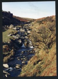 An image from the Dartmoor Trust Archive