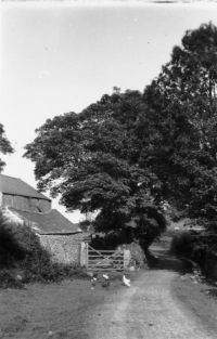 An image from the Dartmoor Trust Archive