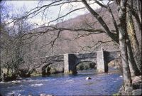 Fingle bridge