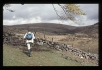 Gate on  Chittaford Down