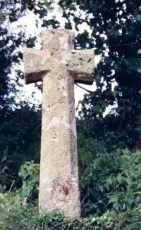 Hele Cross