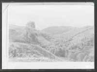 Becky Falls: Fairy Glen, Manaton