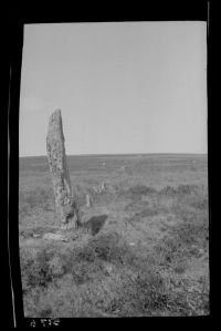 Menhir and stone row at Drizzlecombe