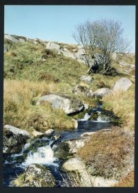 An image from the Dartmoor Trust Archive