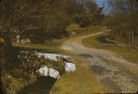 The Devonport Leat