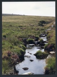 An image from the Dartmoor Trust Archive