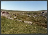 32 Near Philpotts Cove 28/6/1994