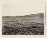 Stone circle near Down Tor