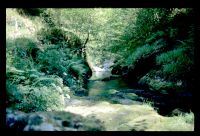 Lydford Gorge