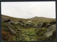 An image from the Dartmoor Trust Archive