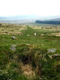 An image from the Dartmoor Trust Archive