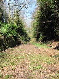 Yelverton Station