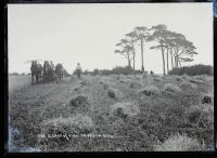 Harvester, Dawlish