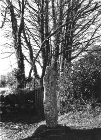 Manaton Churchyard Cross