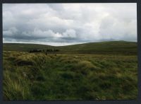 An image from the Dartmoor Trust Archive