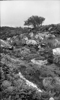 An image from the Dartmoor Trust Archive