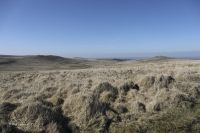 EAST MILL TOR FROM STEEPERTON TOR