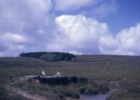 An image from the Dartmoor Trust Archive