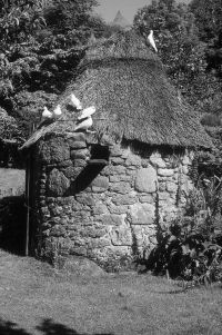 Typical small round ash house