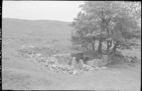 Ruins of a workshop near the Devonport Leat tunnel