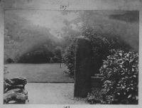 Ogham Stone in Tavistock Vicarage Garden