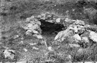 NEGATIVE  OF BEEHIVE HUT. LADEHILL BOTTOM . BY R.HANSFORD WORTH