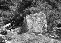 NEGATIVE  OF  FLOOD-STONE COWSIC   BY R. HANSFORD WORTH